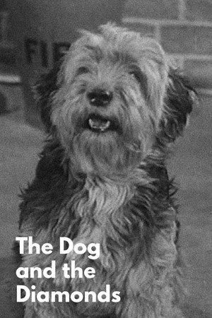 The Dog and the Diamonds poszter