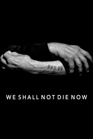 We Shall Not Die Now poszter