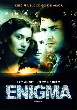 Enigma poszter