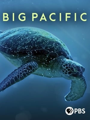 Big Pacific poszter