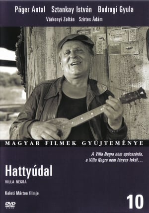 Hattyúdal poszter