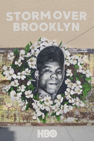 Yusuf Hawkins: Storm Over Brooklyn poszter