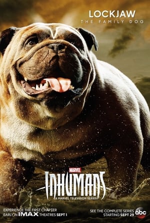 Inhumans: The First Chapter poszter