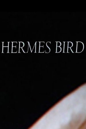 Hermes Bird poszter