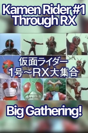 仮面ライダー１号～ＲＸ大集合 poszter