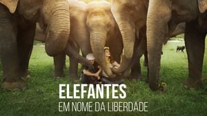 Love & Bananas: An Elephant Story háttérkép