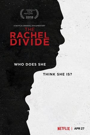 The Rachel Divide poszter