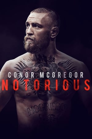 A jól ismert Conor McGregor poszter