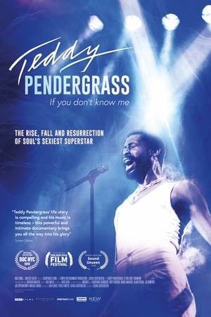 Teddy Pendergrass: If You Don't Know Me poszter