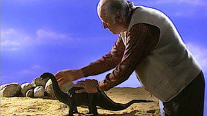 The Harryhausen Chronicles háttérkép