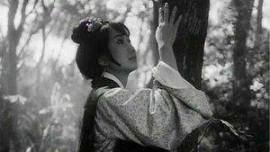 董夫人 háttérkép