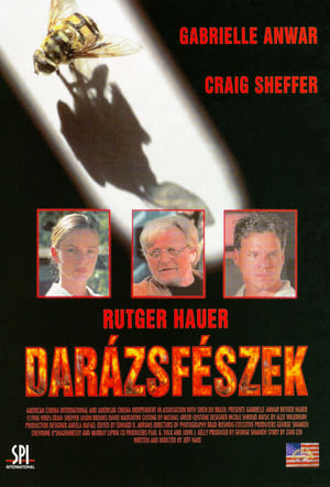 Darázsfészek