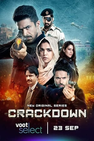 Crackdown poszter