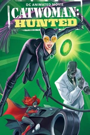 Catwoman: Hunted poszter