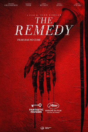 The Remedy poszter