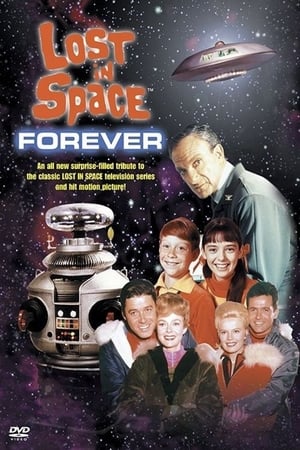 Lost In Space Forever poszter