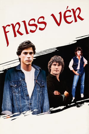 Friss vér