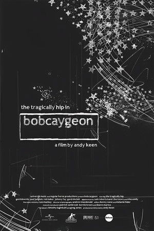 The Tragically Hip in Bobcaygeon poszter