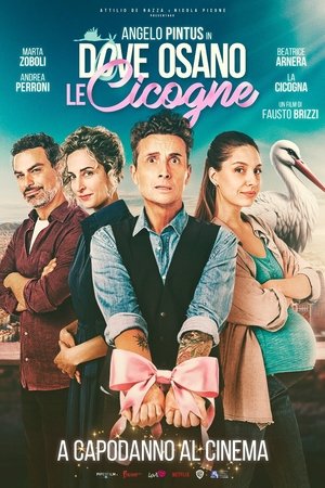 Dove osano le cicogne poszter