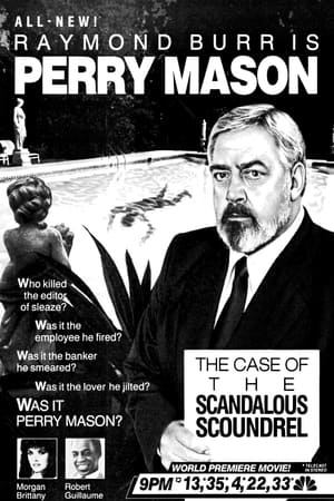 Perry Mason: The Case of the Scandalous Scoundrel poszter