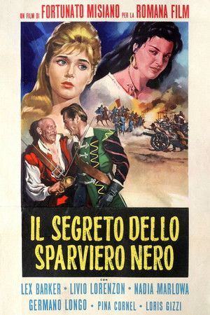 Il segreto dello sparviero nero poszter