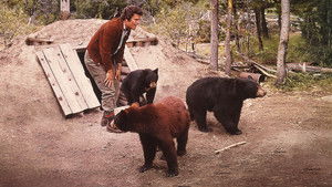 The Bears and I háttérkép