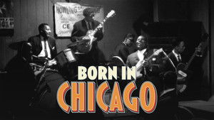 Born In Chicago háttérkép