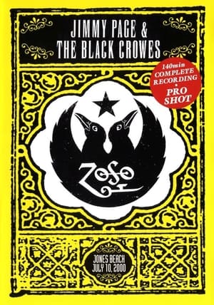 Jimmy Page & The Black Crowes - Live at Jones Beach poszter