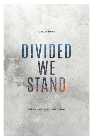 Divided We Stand poszter