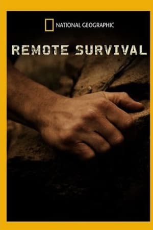 Remote Survival poszter