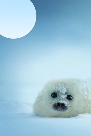 Our Planet – Bolygónk csodái poszter