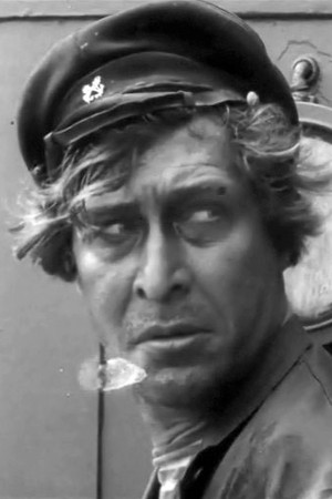 N. Saltikov profil kép