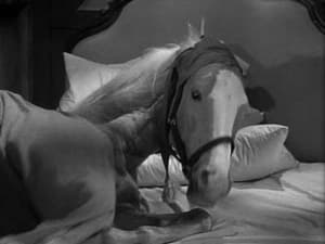 Mister Ed 2. évad Ep.13 13. epizód