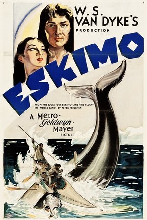 Eskimo poszter