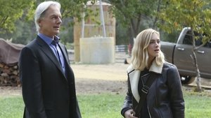 NCIS: Tengerészeti helyszínelők 13. évad Ep.10 Testvérek