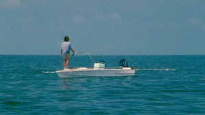 Tarpon háttérkép