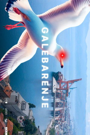Galebarenje poszter
