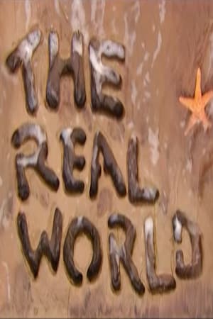 The Real World