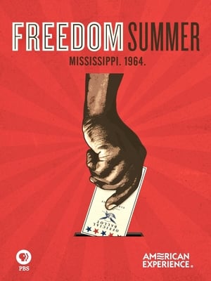 Freedom Summer poszter