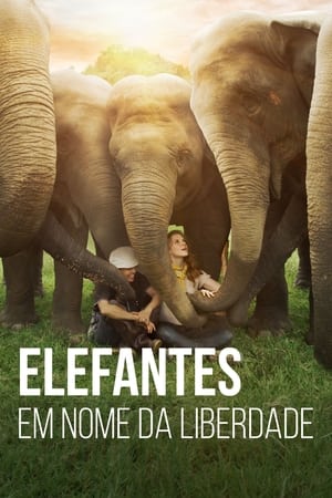 Love & Bananas: An Elephant Story poszter