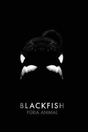 Blackfish – Egy kardszárnyú delfin története poszter