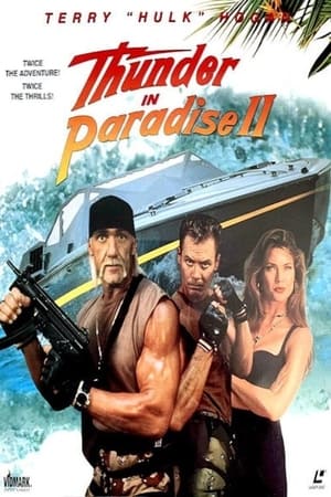 Thunder in Paradise 2 poszter