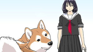 世界の終わりに柴犬と kép