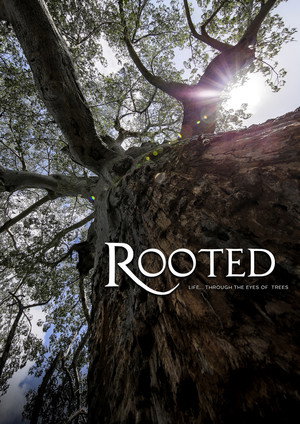 Rooted