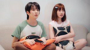 รักสุดใจนายแฟนบอย kép