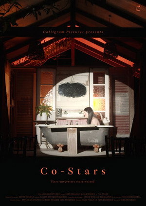 Co-Stars poszter