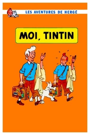 Moi, Tintin poszter