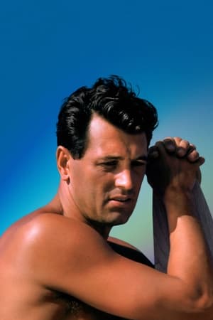 Rock Hudson: All That Heaven Allowed poszter