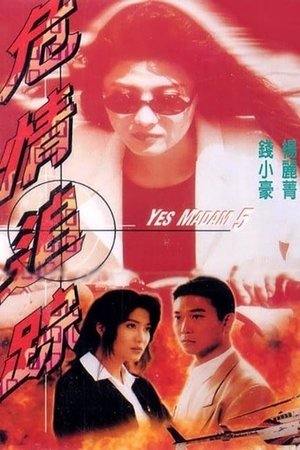 危情追蹤 poszter
