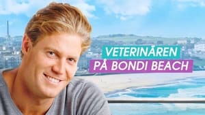 Bondi Vet kép